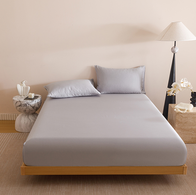 60 支銀離子素色天絲床包